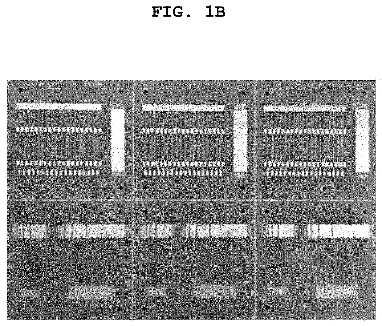 Substitution-type electroless gold plating solution containing purine or pyrimidine-based compound having carbonyl oxygen and substitution-type electroless gold plating method using the same