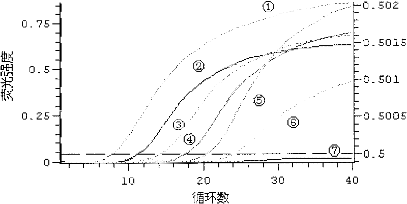 Primer for detecting sulfate reduction bacterium