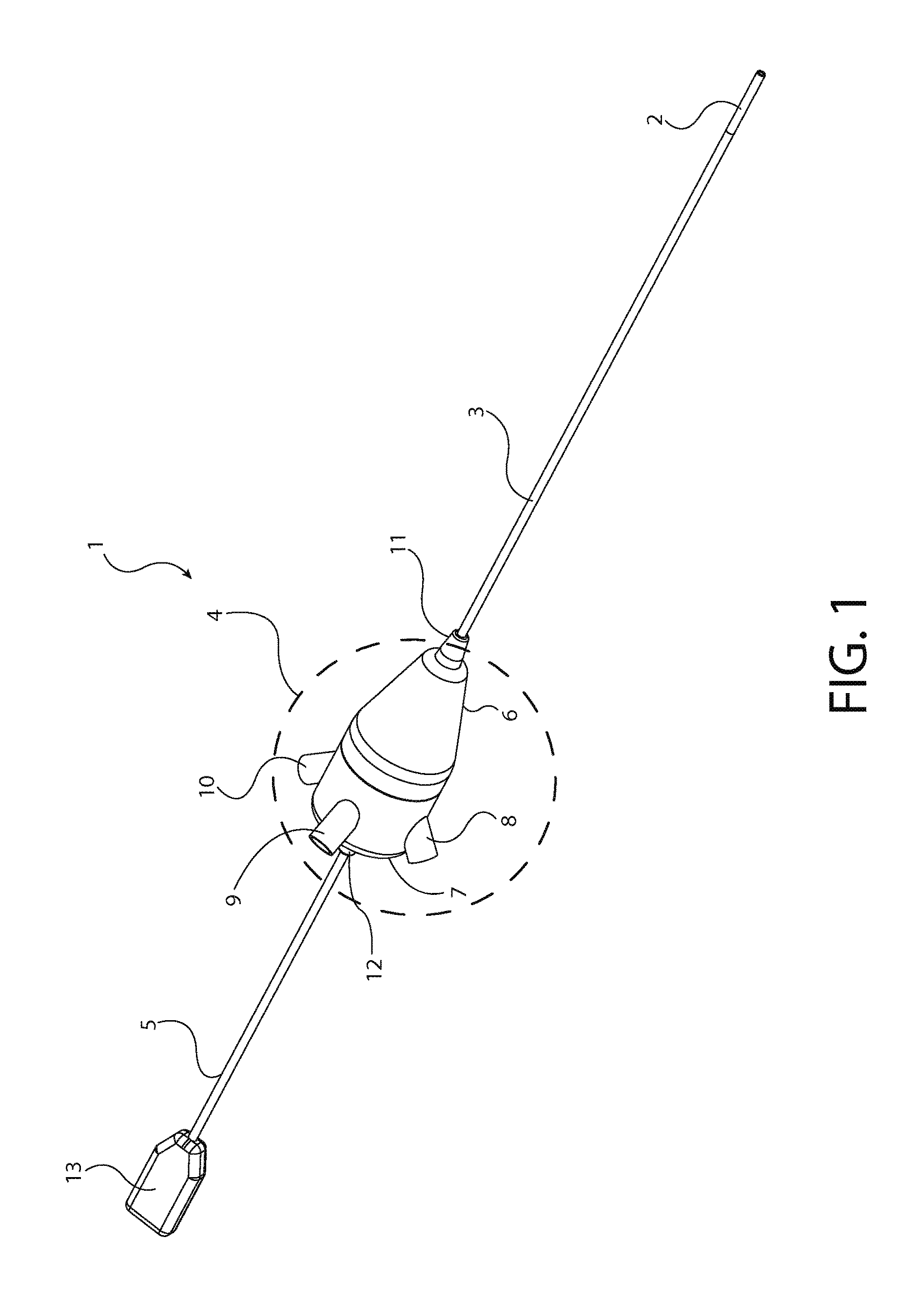 Endoscope with Variable Profile Tip