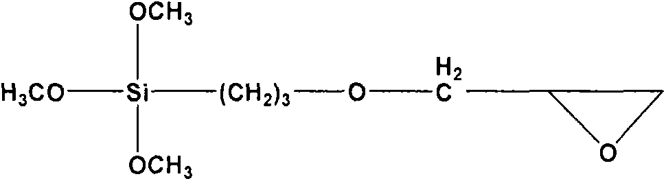 Macromolecular organic guazatine and organic silicon derivative leather antimicrobial mildew preventive and preparation method thereof