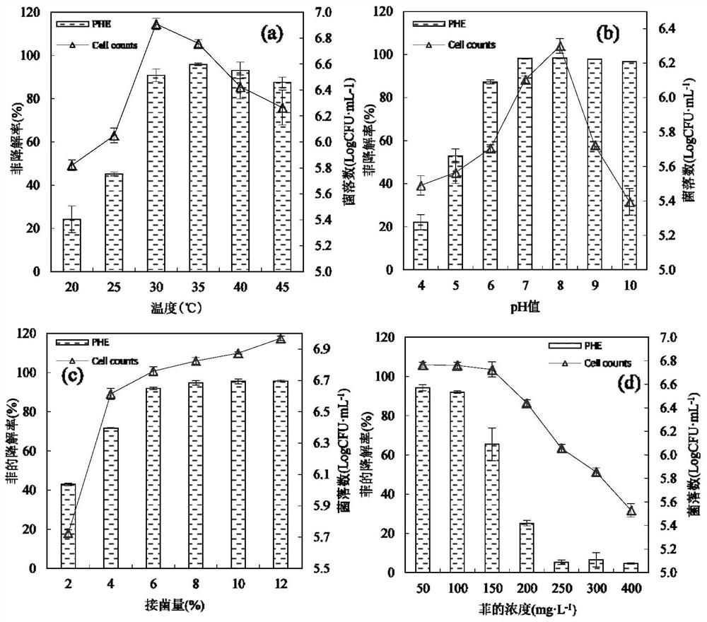 A rhizosphere growth-promoting bacterium phe-2 with pahs degrading ability and its application