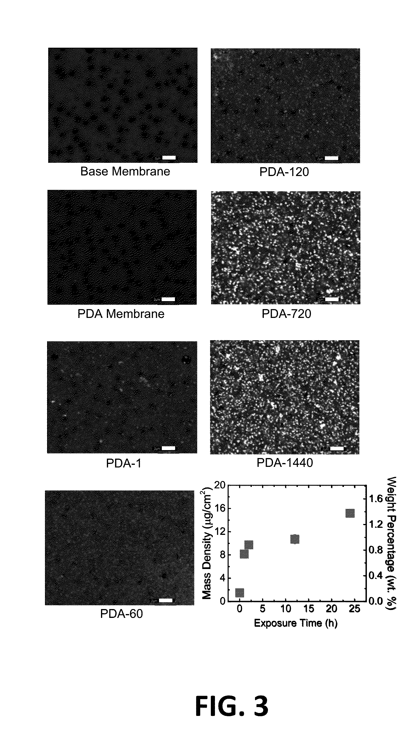 Modification of membranes with polydopamine and silver nanoparticles formed in situ to mitigate biofouling