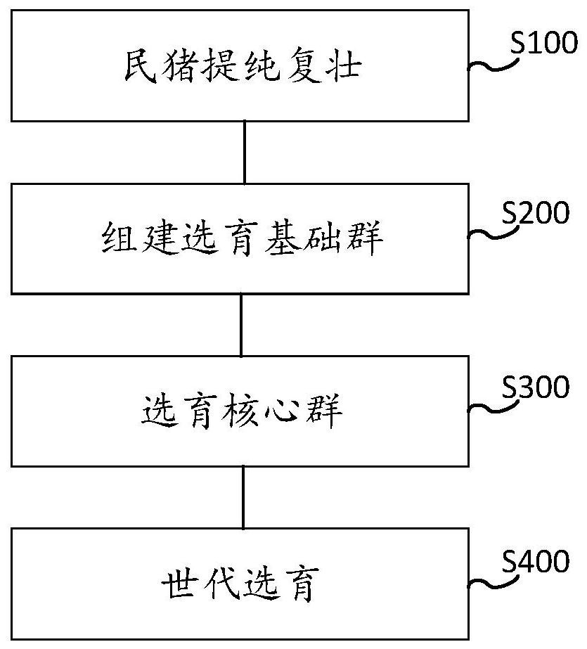 Breeding method of new Jilin black pigs