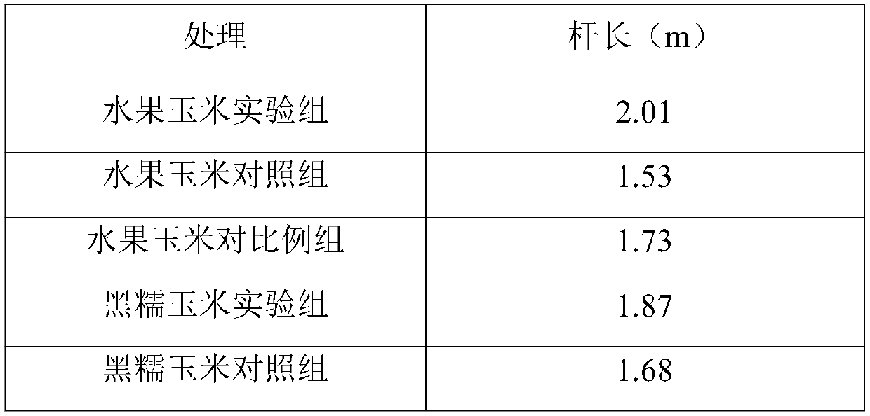 Liquid fertilizer for promoting growth of fruit corn rhizomes and preparation method of liquid fertilizer