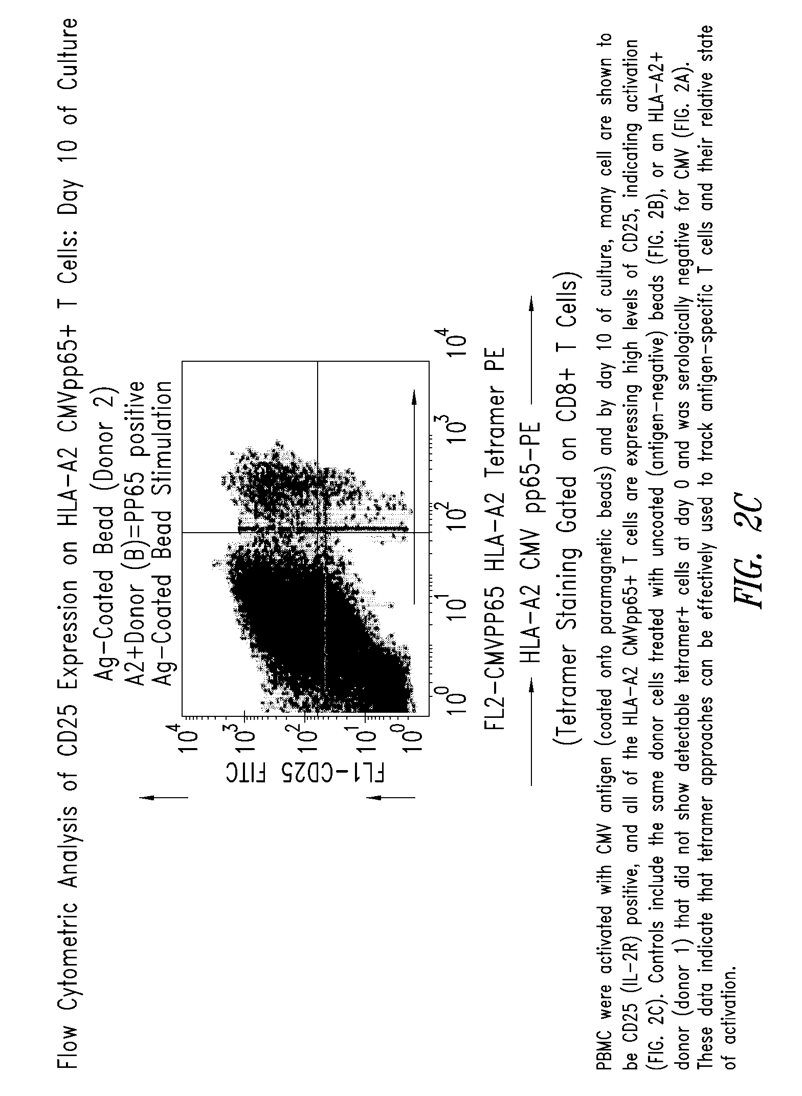 Compositions and methods for eliminating undesired subpopulations of t cells in patients with immunological defects related to autoimmunity and organ or hematopoietic stem cell transplantation