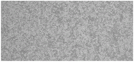 Method for obtaining amniotic epithelial cells through separation