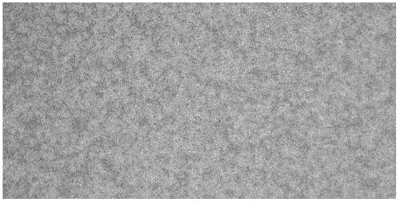 Method for obtaining amniotic epithelial cells through separation