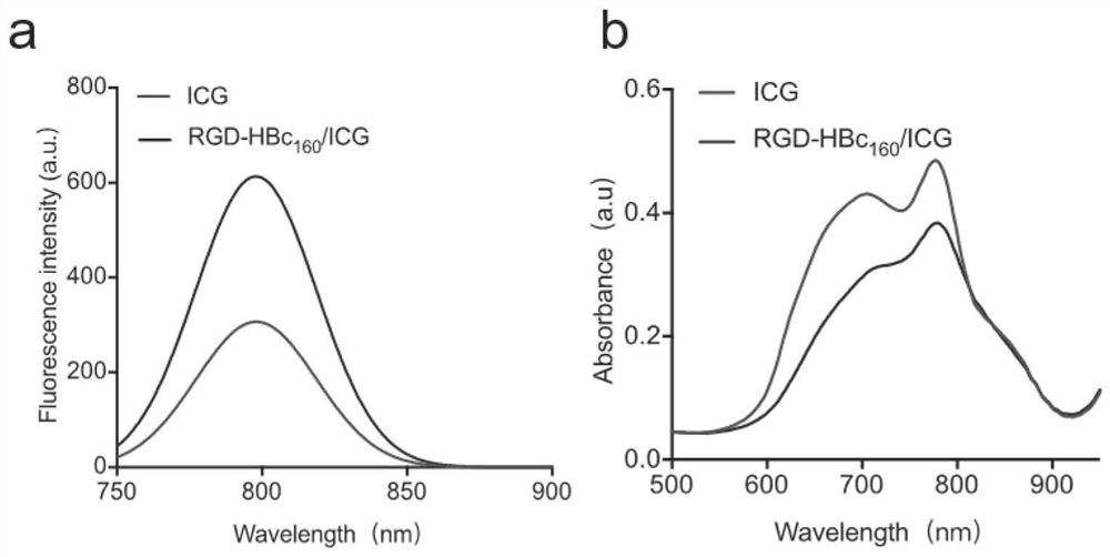 Fluorescent nanoprobe and preparation method and application thereof