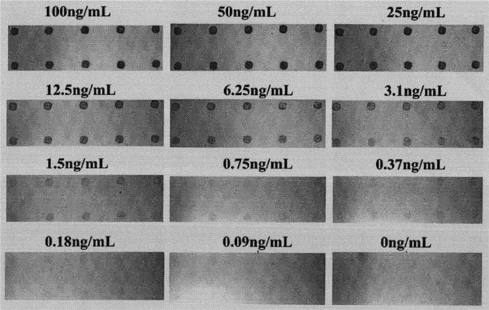 A highly sensitive detection method for various lung cancer markers based on nano-gold enhancement