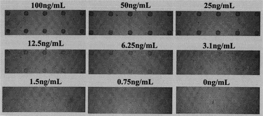 A highly sensitive detection method for various lung cancer markers based on nano-gold enhancement