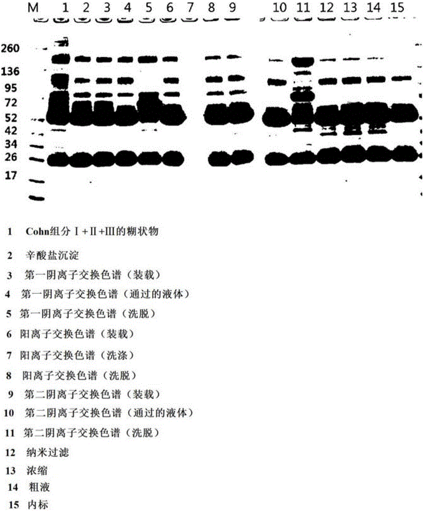 Method for purifying immunoglobulin