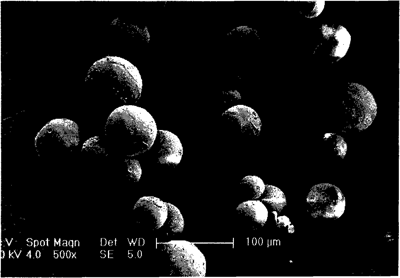 Microsphere combination medicament containing antiparkinsonism drug and application thereof