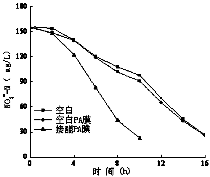 Preparation method and application of quinonoid compound modified nylon membrane biological carrier