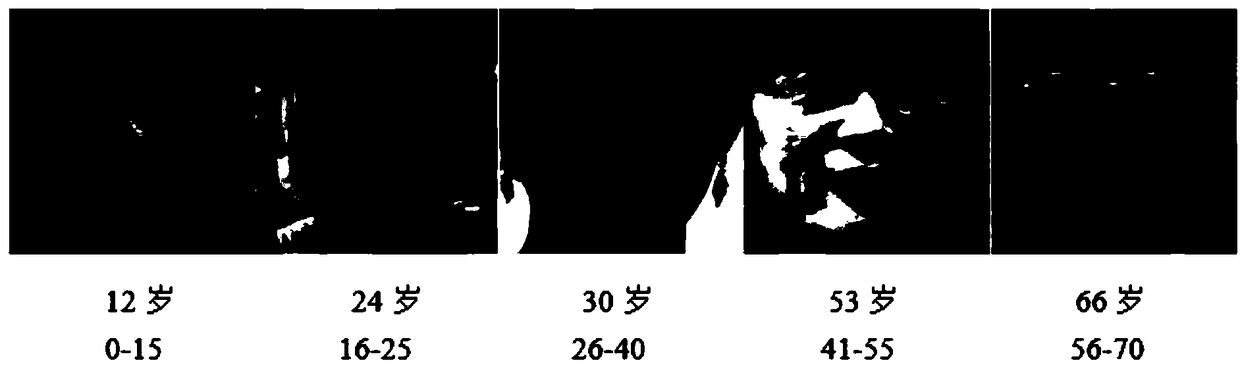 Deep network migration learning method facing a marked noise apparent age database