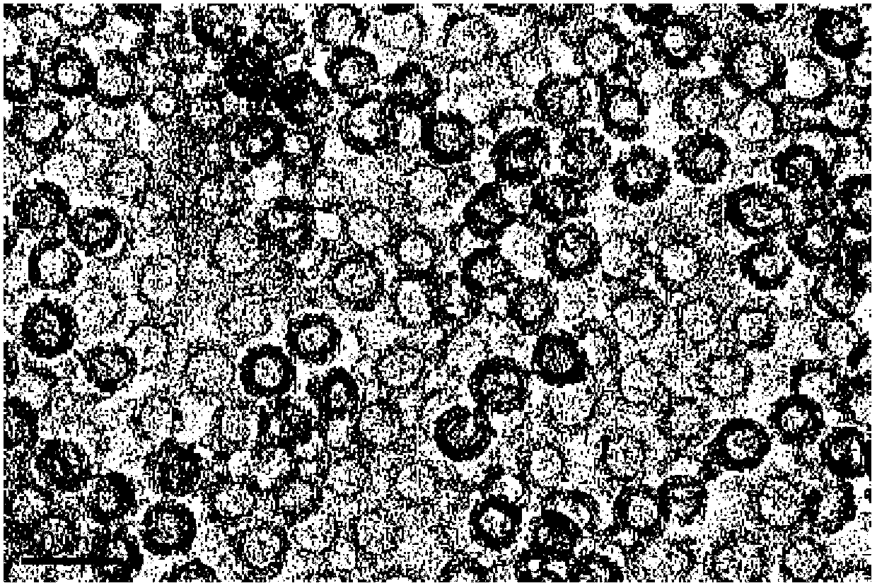 Material for hollow nano organosilicon sphere and preparation method of material