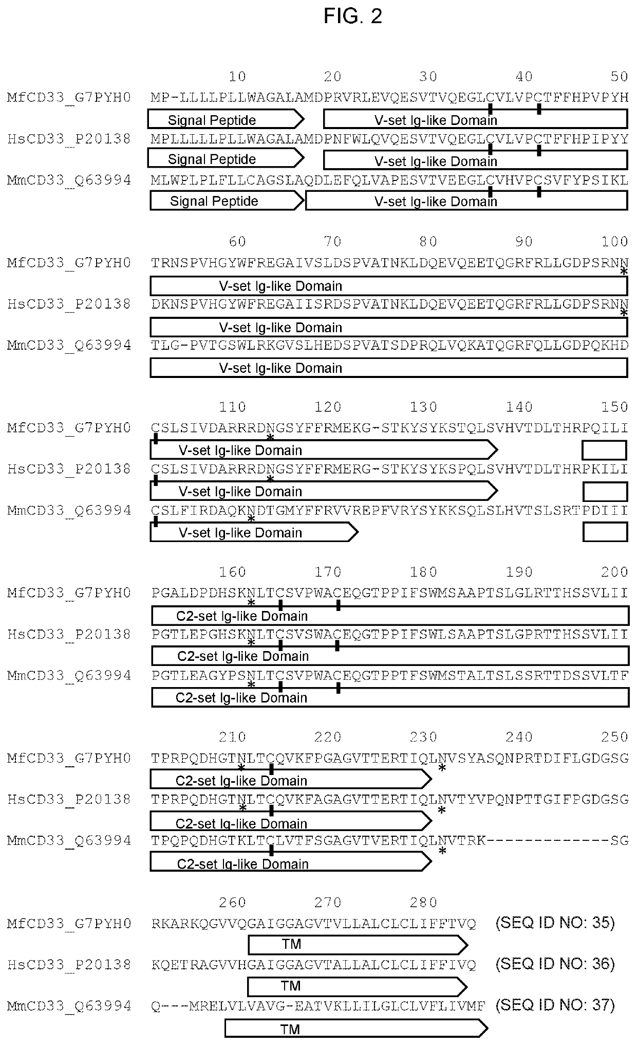 Anti-cd33 antibodies and uses thereof