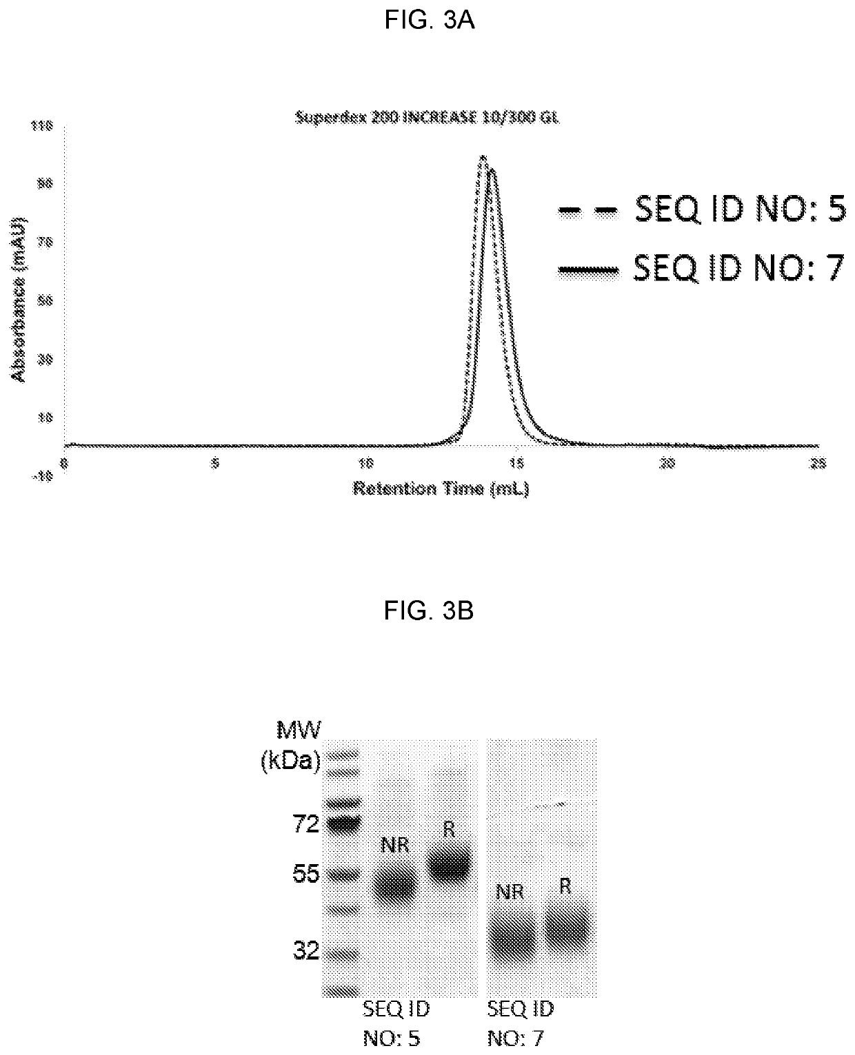 Anti-cd33 antibodies and uses thereof