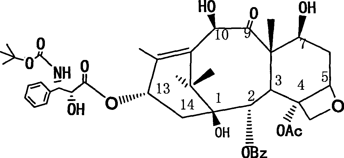 Method for preparing polyhydroxy taxone and paclitaxel