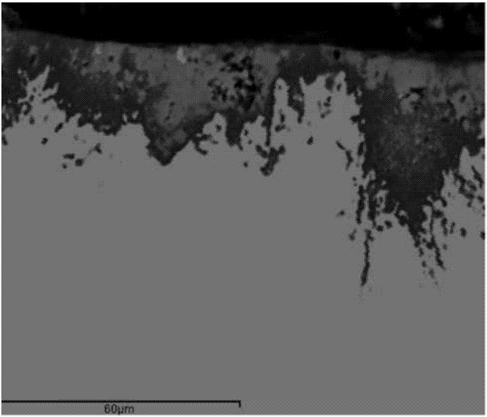 Steel resistant to SRB (sulfate-reducing bacteria) corrosion as well as application and preparation method of steel