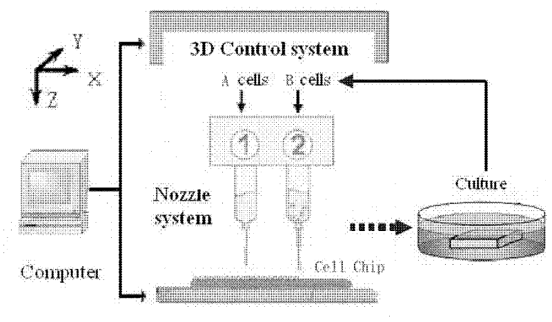 Three-dimensional cell chip based on cell printing and multi-parameter sensing array integrated technology