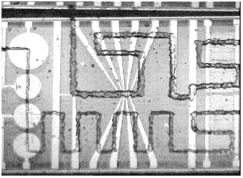 Three-dimensional cell chip based on cell printing and multi-parameter sensing array integrated technology