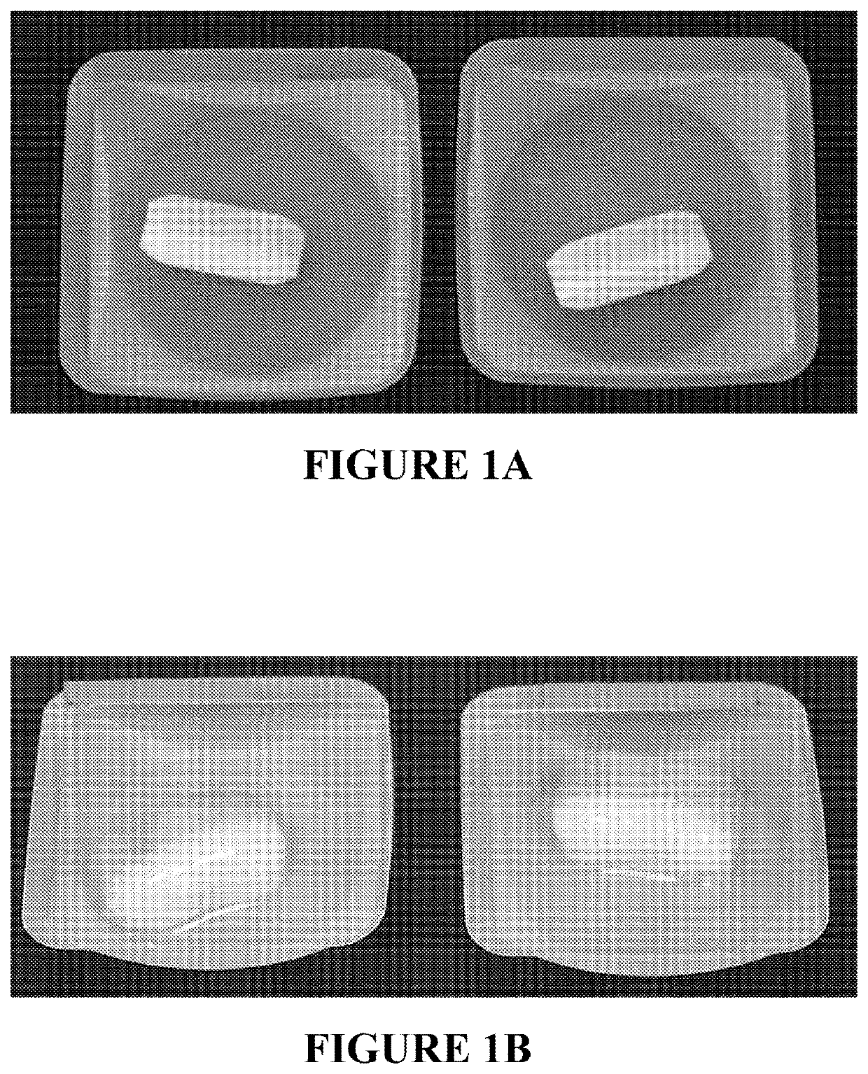 Bi-layer dual release probiotic tablets