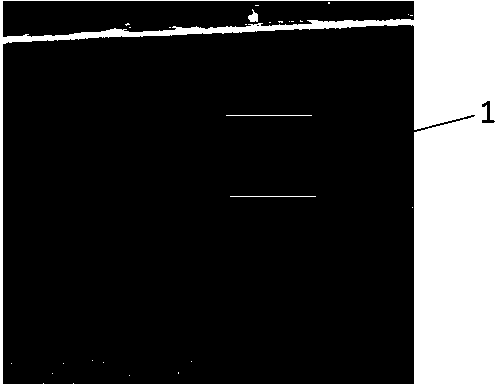 Preparation method for diamond particles deposited with WC/W (wolfram carbide/wolfram) composite coating on surfaces