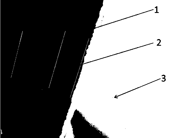 Preparation method for diamond particles deposited with WC/W (wolfram carbide/wolfram) composite coating on surfaces