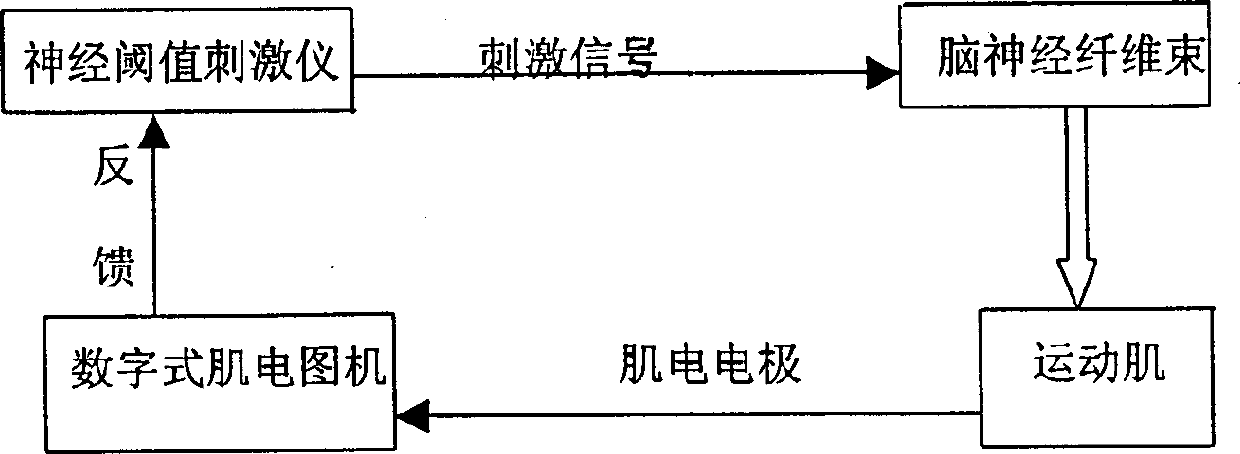 Method and system for testing human nerve threshold value