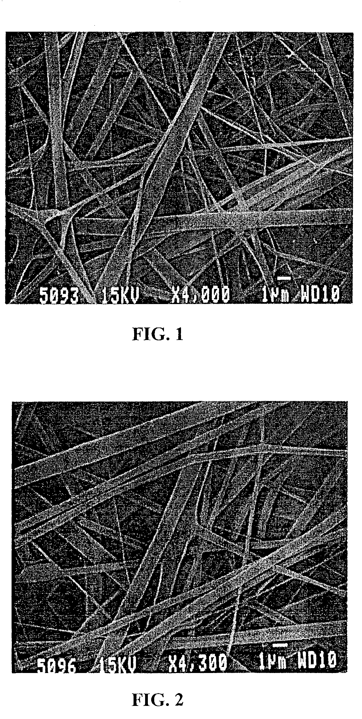 Electroprocessed collagen and tissue engineering