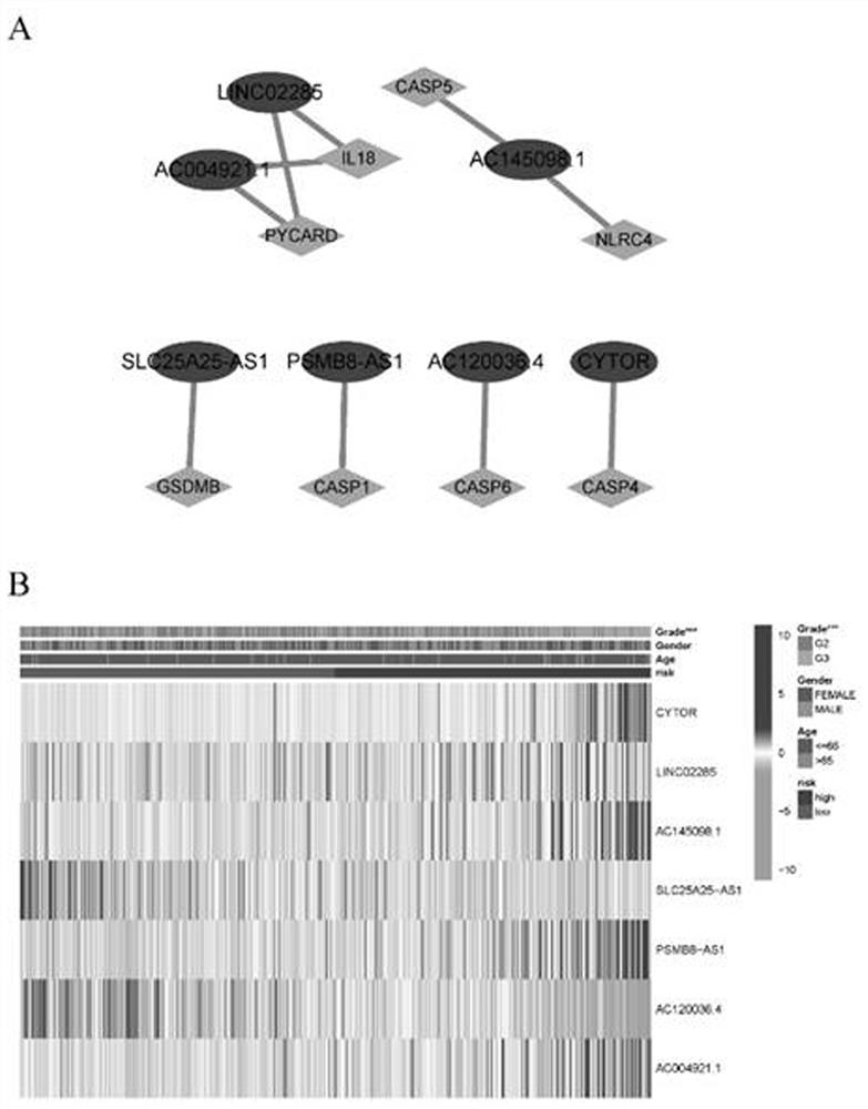 Construction method of low-grade glioma pyroptosis related lncRNA prognosis model