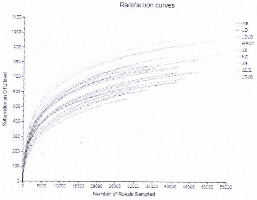 Dairy cow feed additive as well as preparation method and application thereof