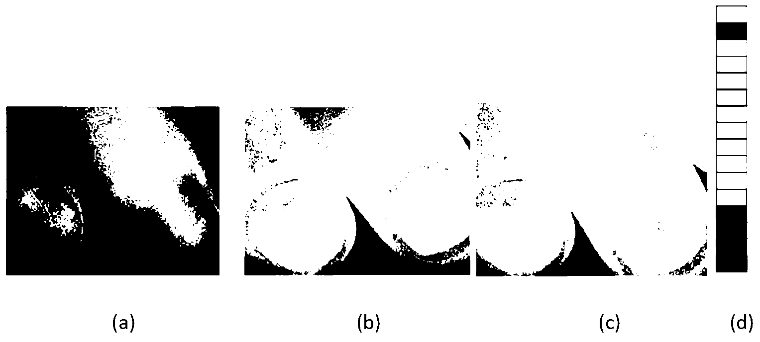 Fast laser speckle blood imaging system and method