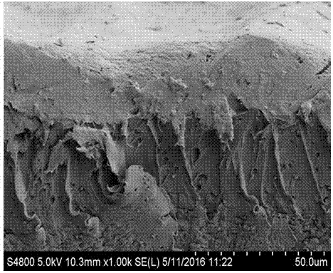 Preparation method for gelatin/hydroxyapatite composite coating