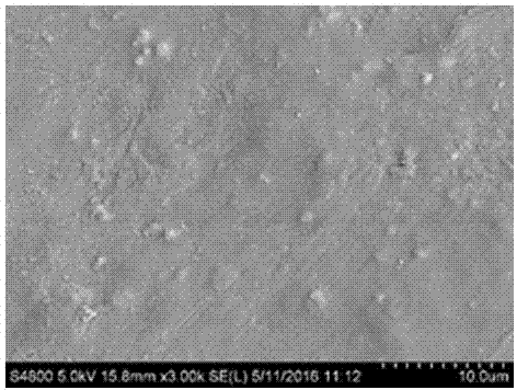 Preparation method for gelatin/hydroxyapatite composite coating