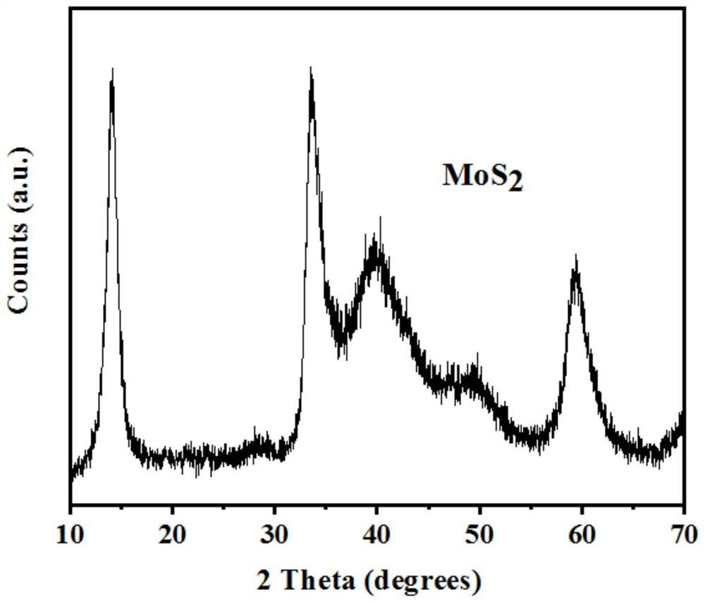 Molybdenum disulfide nanosheet, preparation method and application thereof and method for degrading halogenated antibiotics through electrochemical reduction