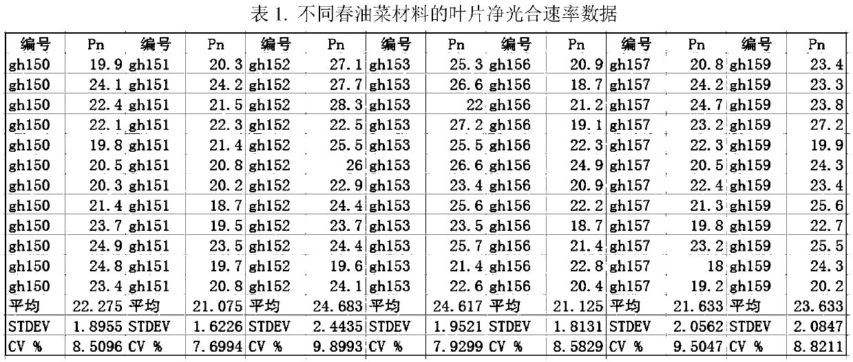 Screening method for spring-rape high-photosynthetic-efficiency germplasm