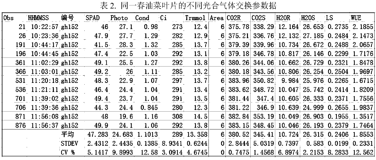 Screening method for spring-rape high-photosynthetic-efficiency germplasm