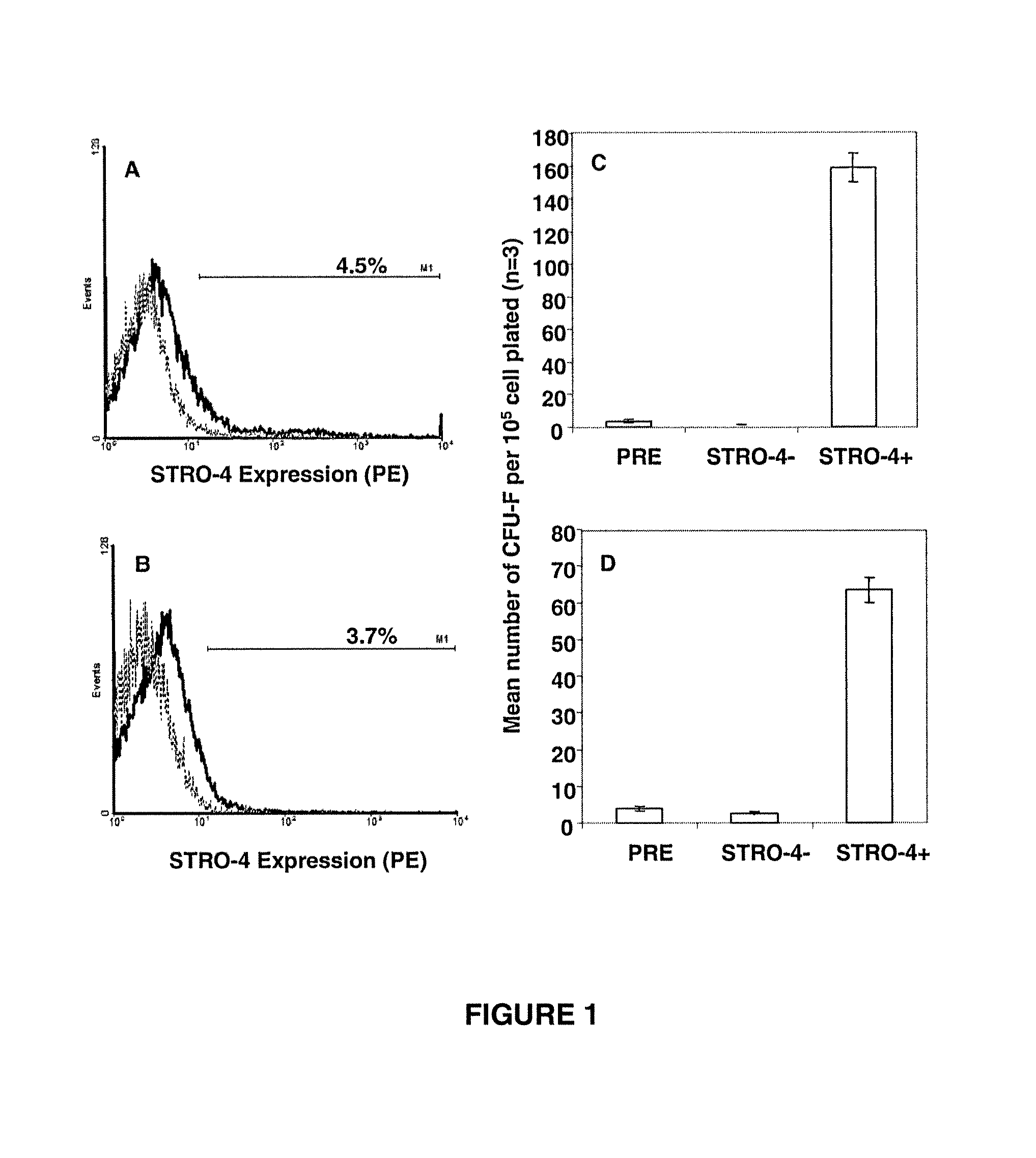 Monoclonal antibody STRO-4