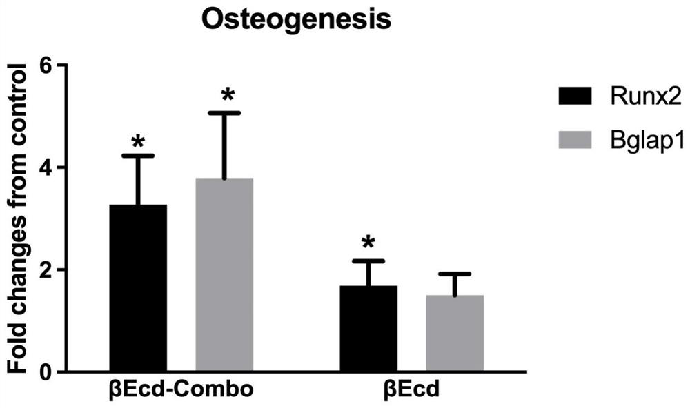 Composition for preventing and/or treating osteoporosis