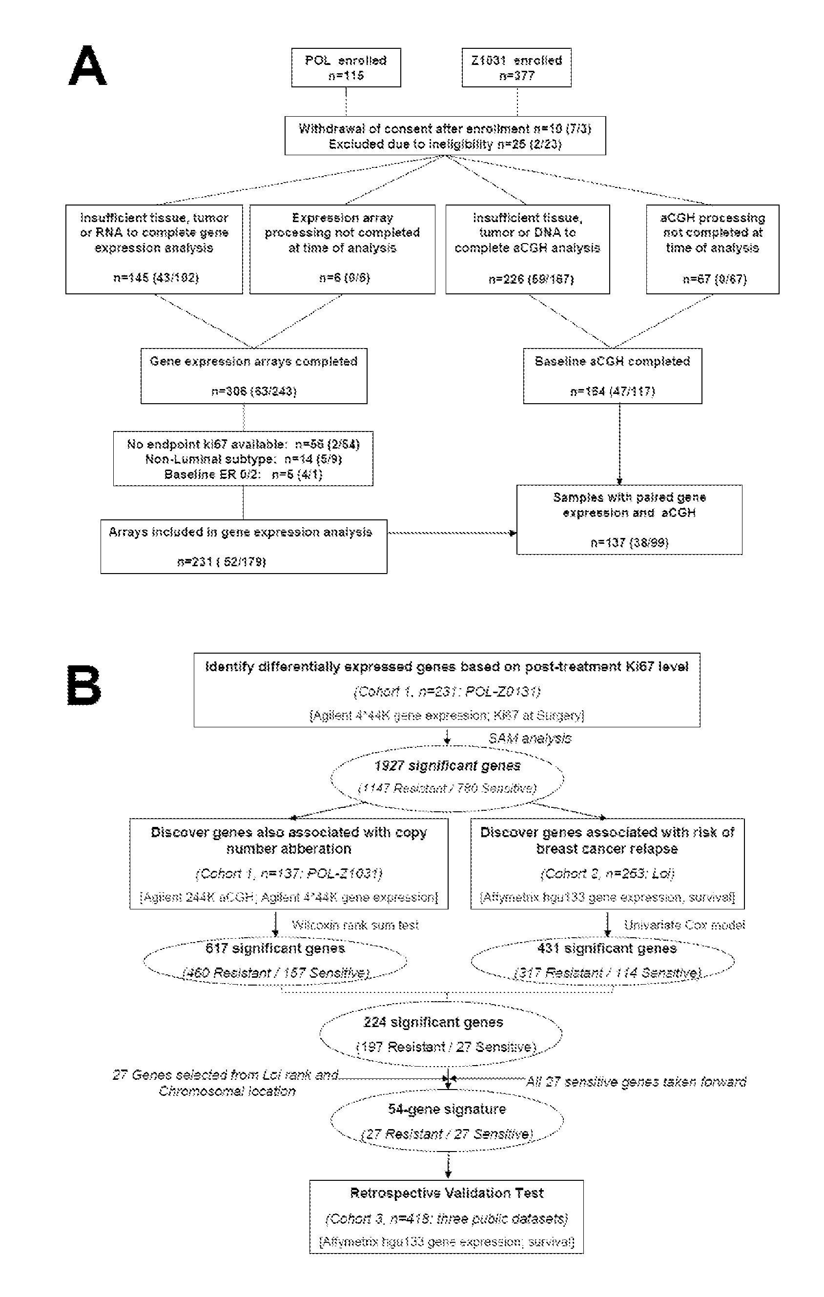 Copy number aberration driven endocrine response gene signature