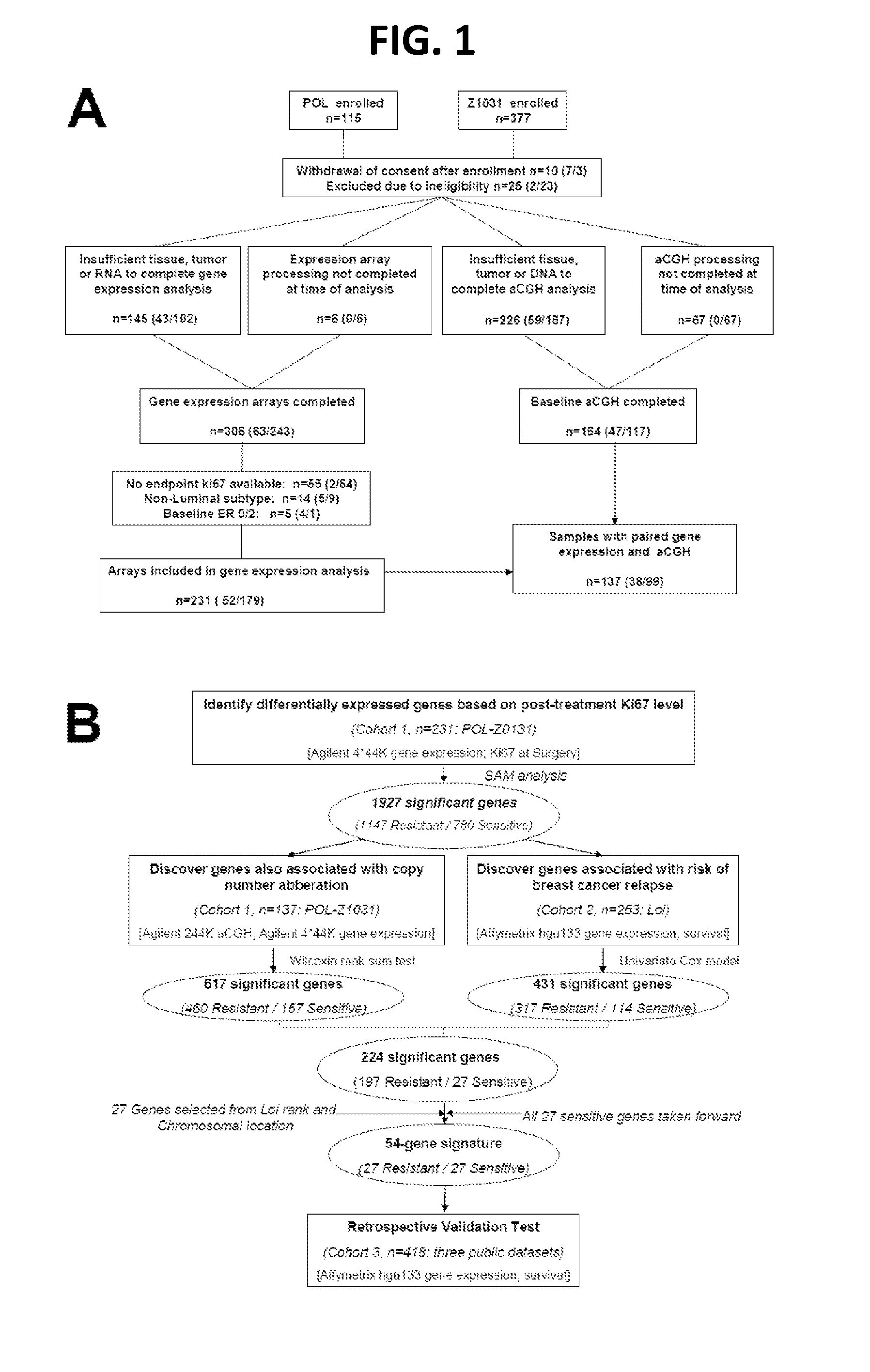 Copy number aberration driven endocrine response gene signature