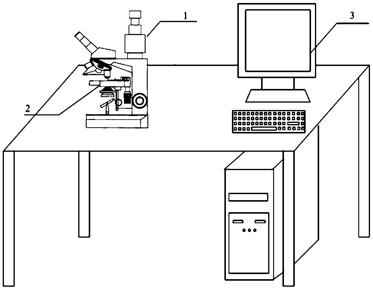 Rapid scanning and imaging method of three-dimensional motion platform for cell DNA ploidy analysis