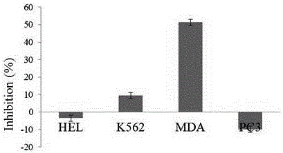 Phellochin F compound extracted from phellodendron amurense, phellodendron chinense and phellodendron chinense and application of phellochin F compound