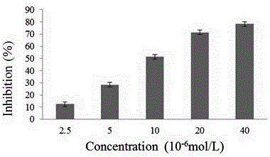 Phellochin F compound extracted from phellodendron amurense, phellodendron chinense and phellodendron chinense and application of phellochin F compound