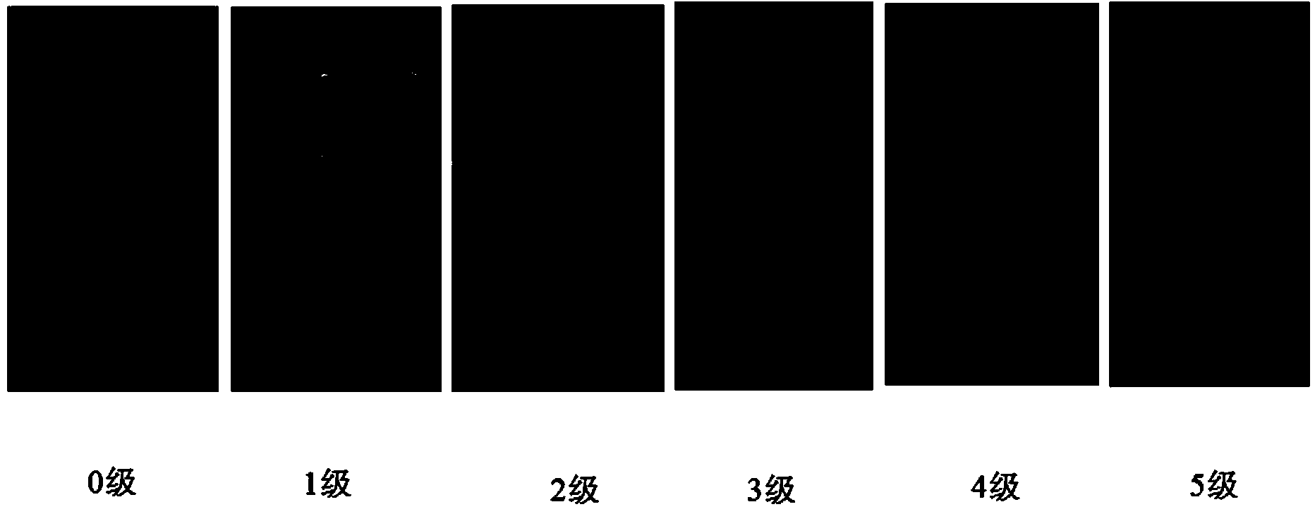 Breeding method for disease-resistant and heat-resistant capsicum annuum L. rootstocks of different physiological races