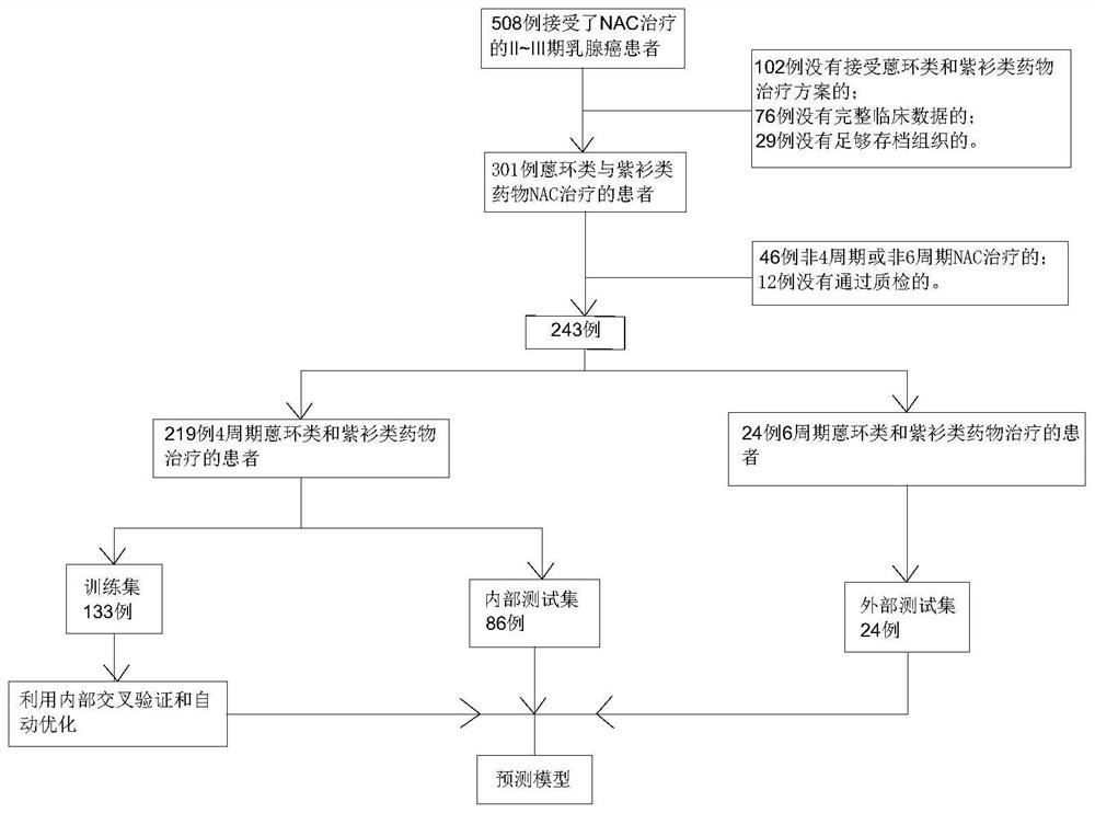 Application of reagents for detecting gene expression levels and construction method of nac curative effect prediction model for breast cancer patients