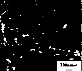 Surface modification method for carbon nano tube