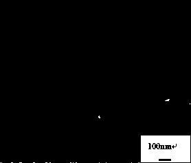 Surface modification method for carbon nano tube