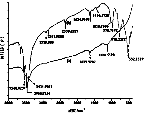 Surface modification method for carbon nano tube